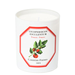 Lycopersicon Esculentum - Tomato candle