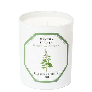 Mentha Spicata - Spearmint candle