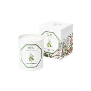 Mentha Spicata - Spearmint candle