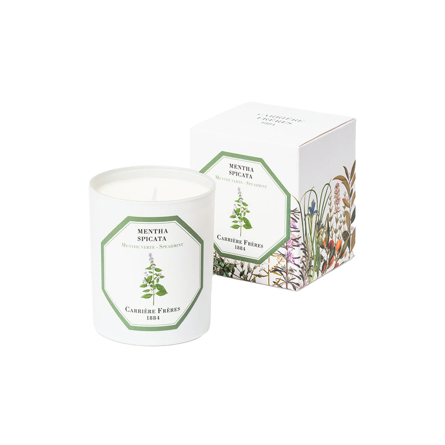 Mentha Spicata - Spearmint candle