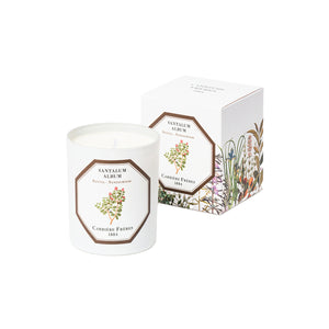 Santalum Album - Sandalwood candle