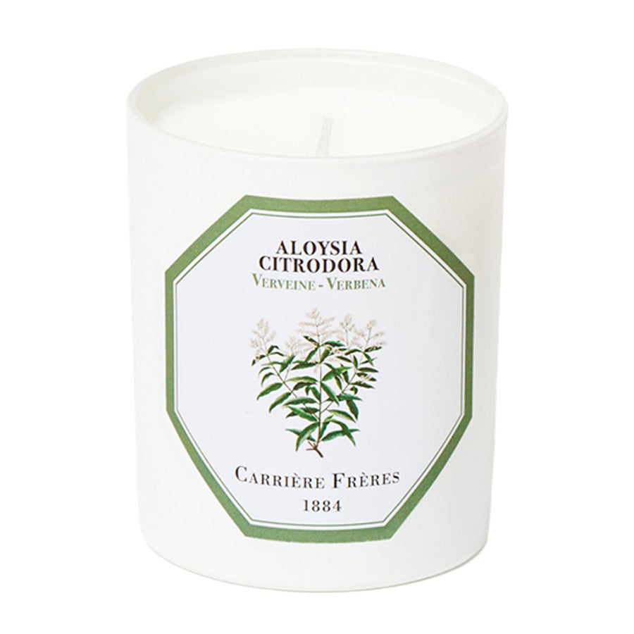 Aloysia Citrodora - Verbena candle