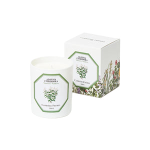 Aloysia Citrodora - Verbena candle