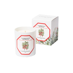 Zanthoxylum Piperitum - Sichuan Pepper candle